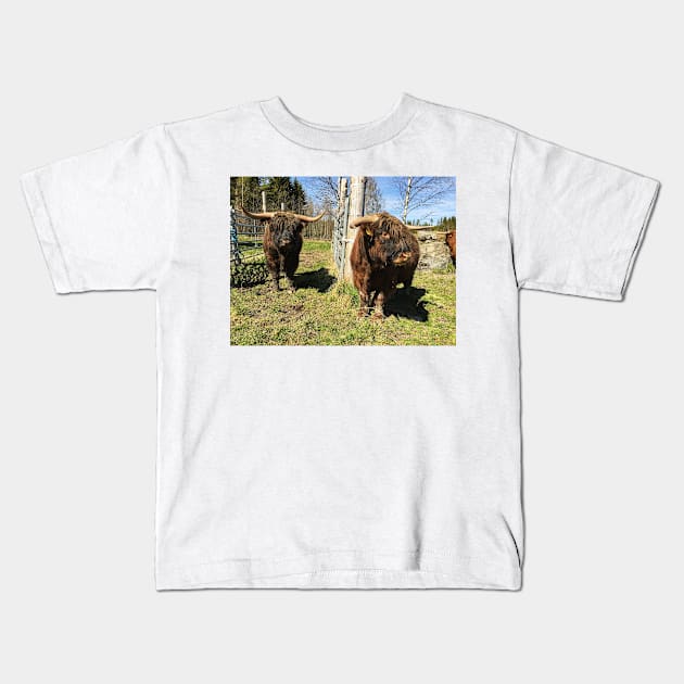 Scottish Highland Cattle Bulls 2393 Kids T-Shirt by SaarelaHighland